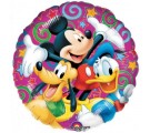 Mickey's Disney Celebration