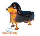 Dachshund Walking Pet Balloons.