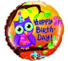 Birthday Owl