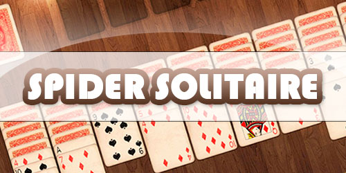 247 Spider Solitaire